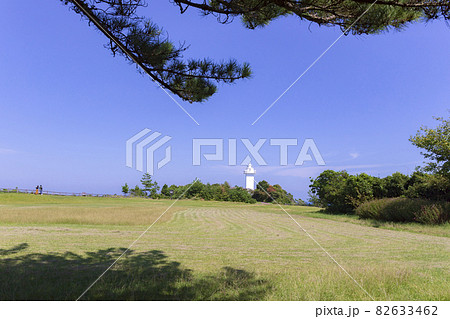 安乗崎の灯台 安乗崎の灯台 82633462