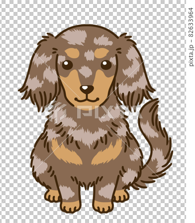 ダックスフンド（チョコダップル） 82633964