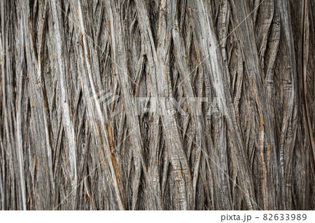 Tree bark texture 82633989