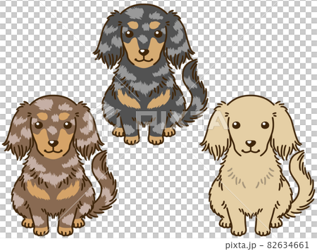 Dachshund with various coat colors Dachshund with various coat colors 82634661