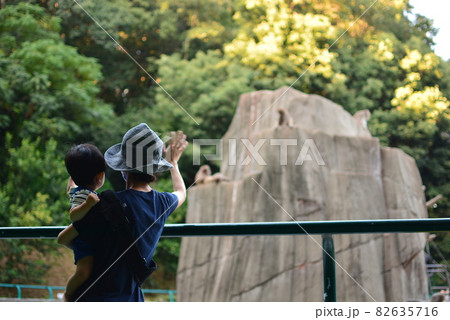 福岡市動植物園へ 82635716