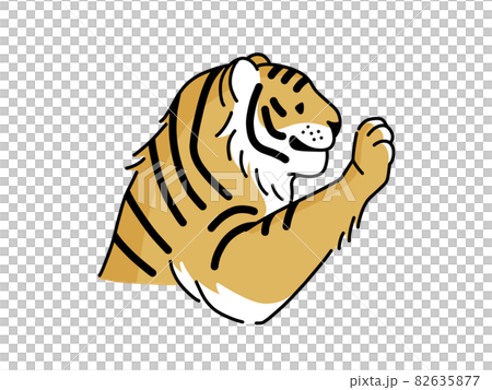 老虎的前腿 老虎的前腿 82635877