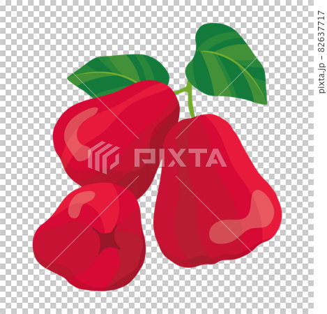 蘋果蘋果（玫瑰蘋果）的插圖 82637717