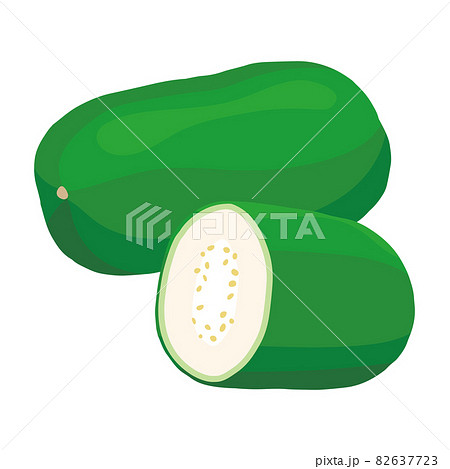 冬瓜のイラスト 82637723