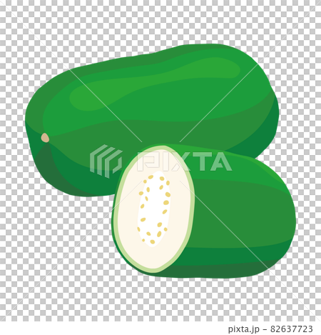 冬瓜のイラスト 82637723