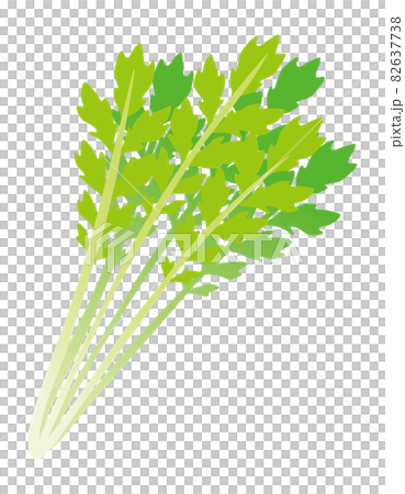 水菜イラスト 水菜イラスト 82637738