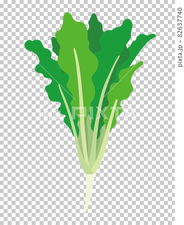 根莖類蔬菜的插圖 根莖類蔬菜的插圖 82637740