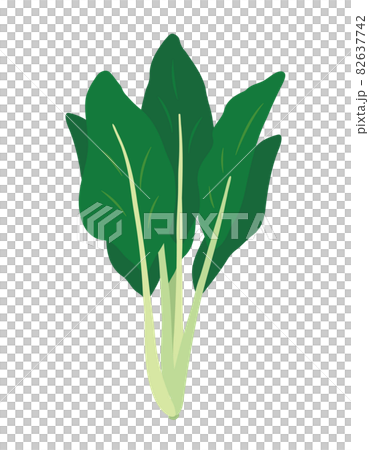 Illustration of bittersweet (nigana) 82637742