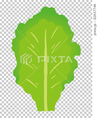 サンチュのイラスト 82637746