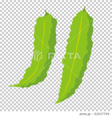 帶翅豆的插圖 帶翅豆的插圖 82637749