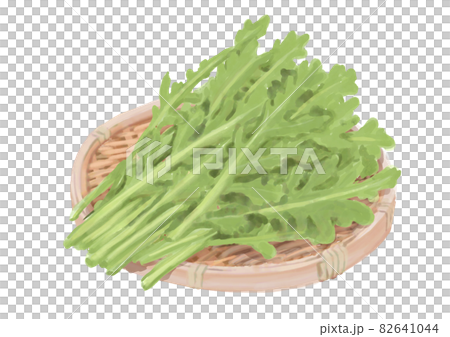 Zaru prime chrysanthemum Zaru prime chrysanthemum 82641044