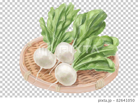 ざる盛りのかぶら 82641050