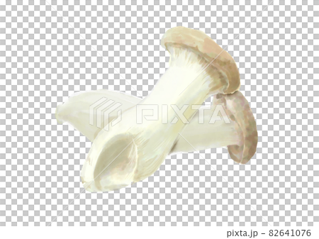 2 king trumpet 2 king trumpet 82641076