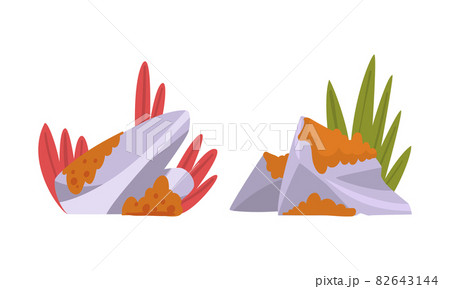 Solid Stone or Boulder Covered with Moss Vector Set 82643144