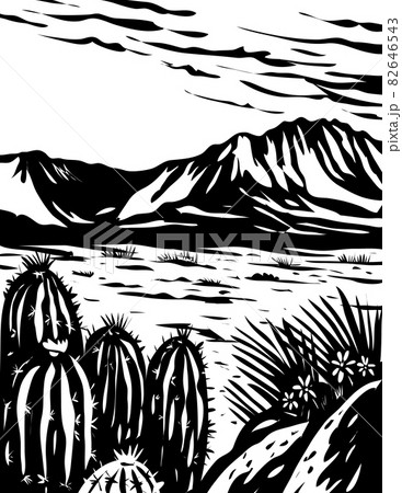 Chihuahuan Desert in Big Bend National Park West Texas USA Mexico Border WPA Woodcut Black and White Art 82646543