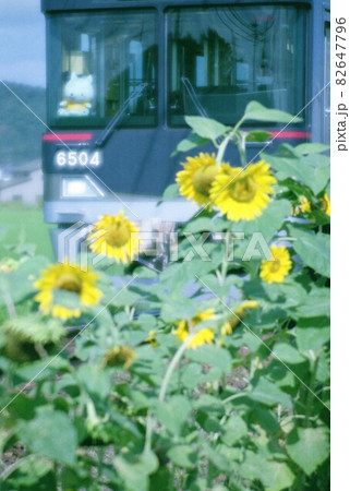 神戸電鉄6500系 82647796