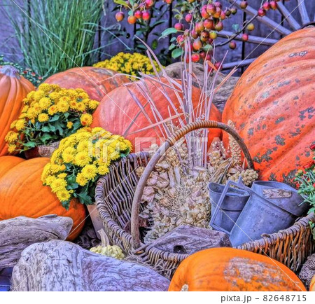 お洒落なハロウィン飾り お洒落なハロウィン飾り 82648715
