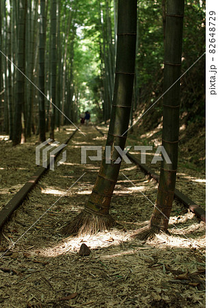 鳥取 四季の散歩 秋 倉吉廃線跡 鳥取 四季の散歩 秋 倉吉廃線跡 82648729