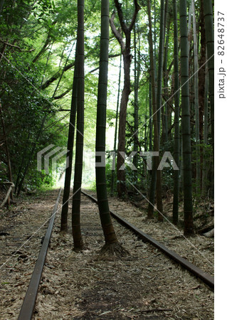 鳥取 四季の散歩 秋 倉吉廃線跡 鳥取 四季の散歩 秋 倉吉廃線跡 82648737