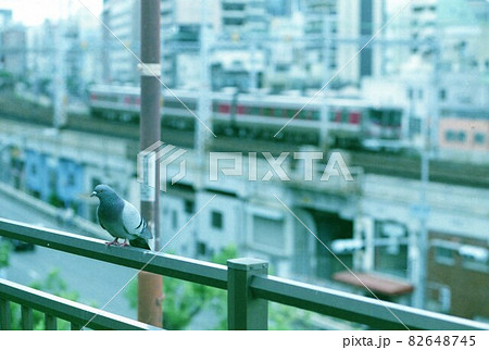 JR西日本キハ189系　特急はまかぜ 82648745