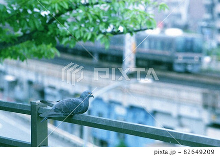 JR西日本207系 JR西日本207系 82649209