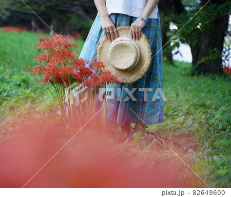 曼珠沙華畑と麦わら帽子の少女 *横長長方形構図 曼珠沙華畑と麦わら帽子の少女 *横長長方形構図 82649600