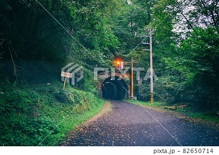 道路転用された廃線 道路転用された廃線 82650714