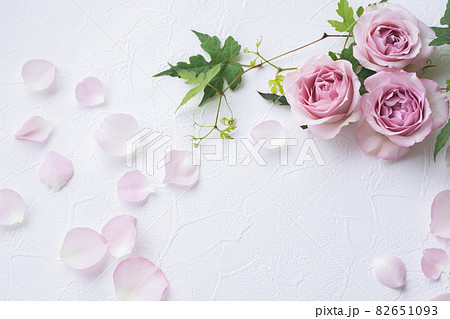 ピンクのバラの招待状 花の背景素材の写真素材