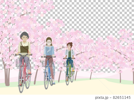 Women riding a bicycle under a row of cherry blossom trees Women riding a bicycle under a row of cherry blossom trees 82651145