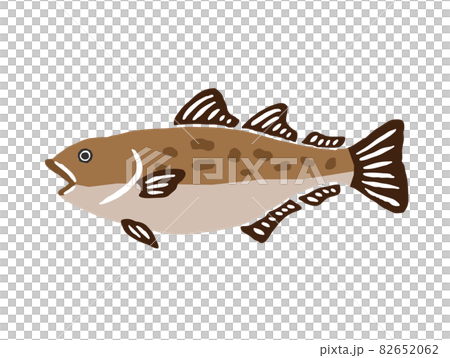 Cod retro vector illustration Cod retro vector illustration 82652062