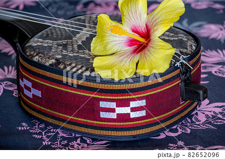 ハイビスカス三線（戻らないカラクイ付き） ハイビスカス三線（戻らないカラクイ付き）