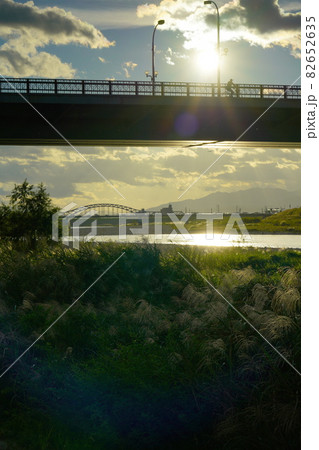 秋の長良川風情・ススキと金華橋と忠節橋 秋の長良川風情・ススキと金華橋と忠節橋 82652635