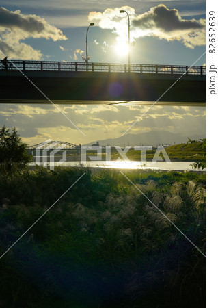 秋の長良川風情・ススキと金華橋と忠節橋 秋の長良川風情・ススキと金華橋と忠節橋 82652639