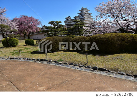 日本の兵庫県の姫路市 世界遺産で国宝でもある姫路城 春の桜と青空と立派な天守閣 日本の兵庫県の姫路市 世界遺産で国宝でもある姫路城 春の桜と青空と立派な天守閣 82652786
