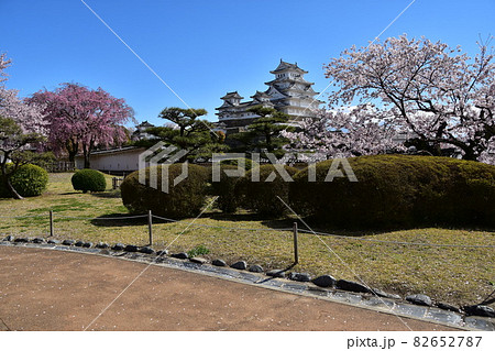 日本の兵庫県の姫路市 世界遺産で国宝でもある姫路城 春の桜と青空と立派な天守閣 日本の兵庫県の姫路市 世界遺産で国宝でもある姫路城 春の桜と青空と立派な天守閣 82652787