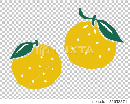 柚子　レトロなベクターイラスト 82652874