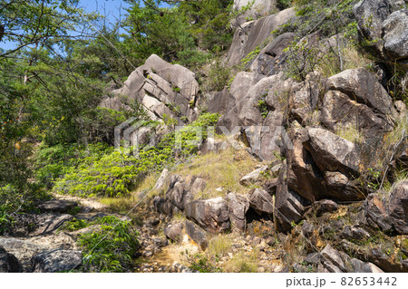 狛坂磨崖仏から桐生辻分岐へ向かう登山道(金勝アルプス) 狛坂磨崖仏から桐生辻分岐へ向かう登山道(金勝アルプス) 82653442