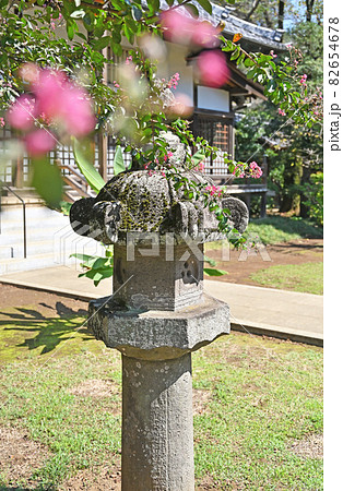 野田市散歩：金乗院　真言宗豊山派　境内 82654678