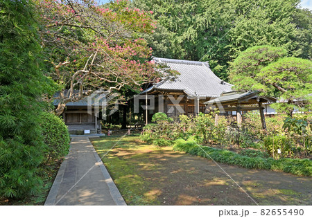 野田市散歩：金乗院　真言宗豊山派　不動堂 82655490