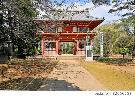 野田市散歩:金乗院 真言宗豊山派 仁王門 野田市散歩:金乗院 真言宗豊山派 仁王門 82656553