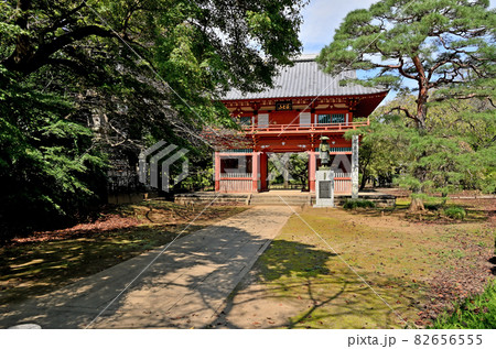 野田市散歩:金乗院 真言宗豊山派 仁王門 野田市散歩:金乗院 真言宗豊山派 仁王門 82656555