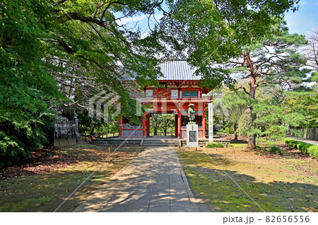 野田市散歩:金乗院 真言宗豊山派 仁王門 野田市散歩:金乗院 真言宗豊山派 仁王門 82656556