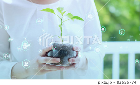植物を持つ女性　環境保護イメージ　サステナブル　SDGs 82656774