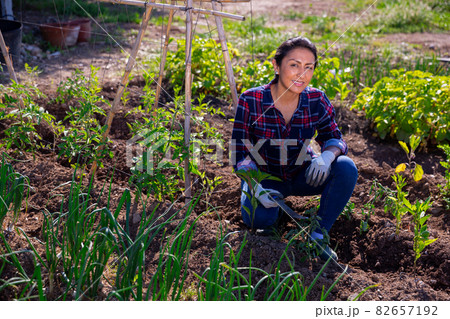 Latino woman working on a farm field on hot day Latino woman working on a farm field on hot day 82657192