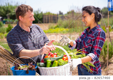 Conversation of good neighbors during meeting on field Conversation of good neighbors during meeting on field 82657460