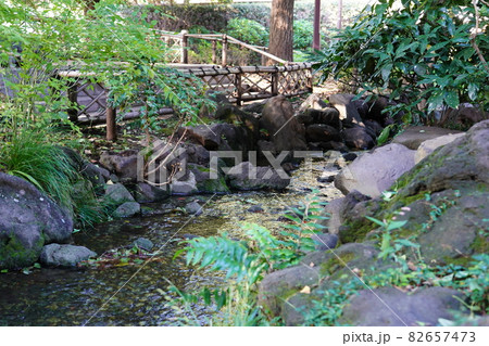 横浜公園 彼我庭園 横浜公園 彼我庭園 82657473
