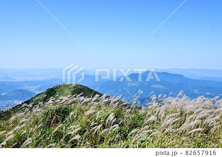 爽やかな初秋の、ススキのある風景 82657916