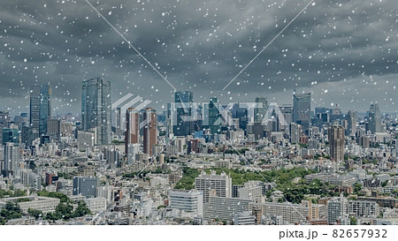 東京 雪 東京 雪 82657932