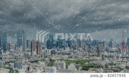 東京　雪 82657936