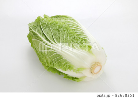 白菜 白菜 82658351